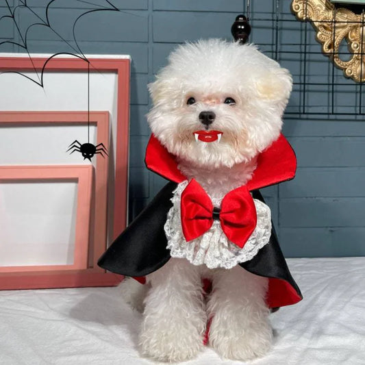 Halloween Vampire Cape Costume – Prince Cosplay Dress-Up Outfit for Small & Medium Dogs.
