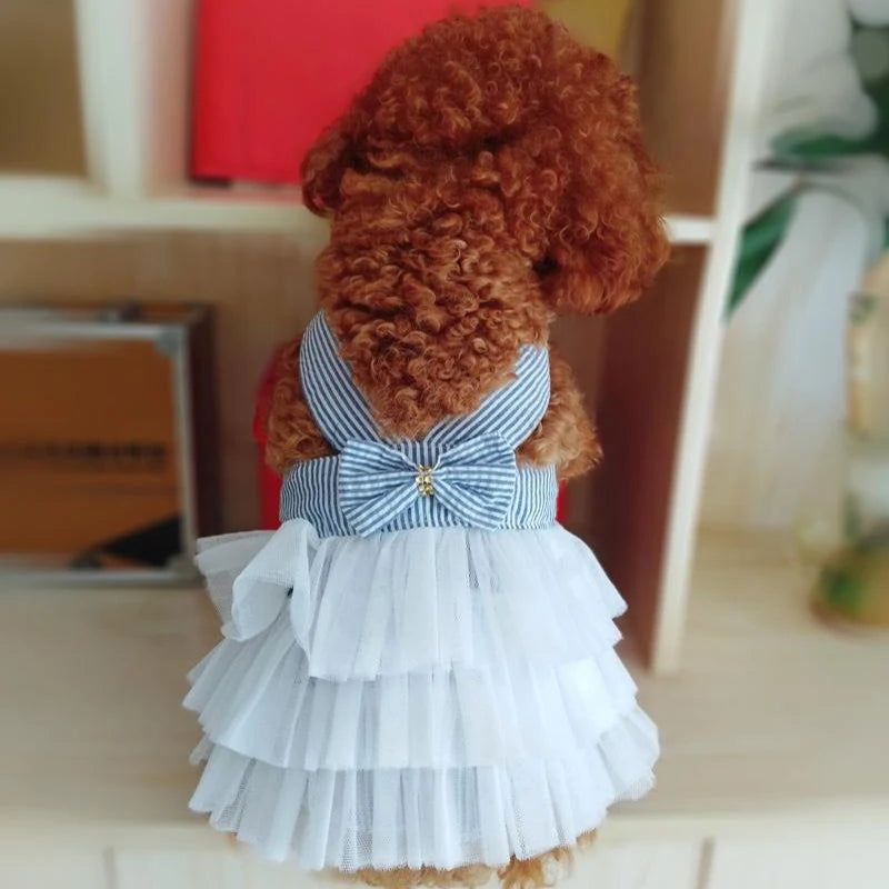 Summer Lace Dress – Cute Striped Princess Skirt Outfit for Dogs & Cats, Lightweight Puppy Fashion Apparel.