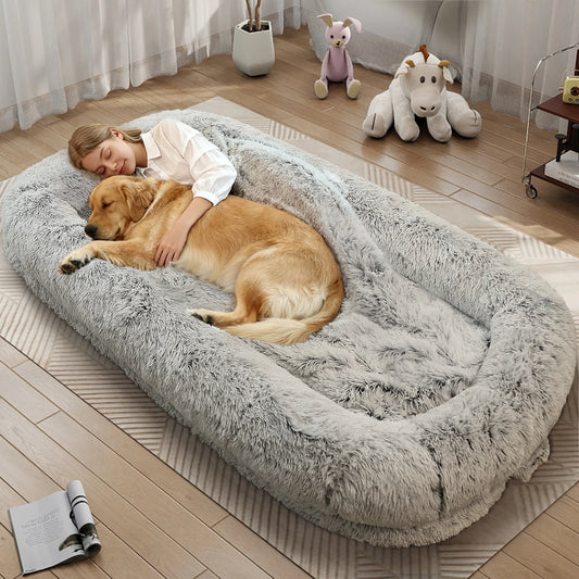 Human-Size Dog Bed for Adults – Large Orthopedic Lounger with Removable Cover.
