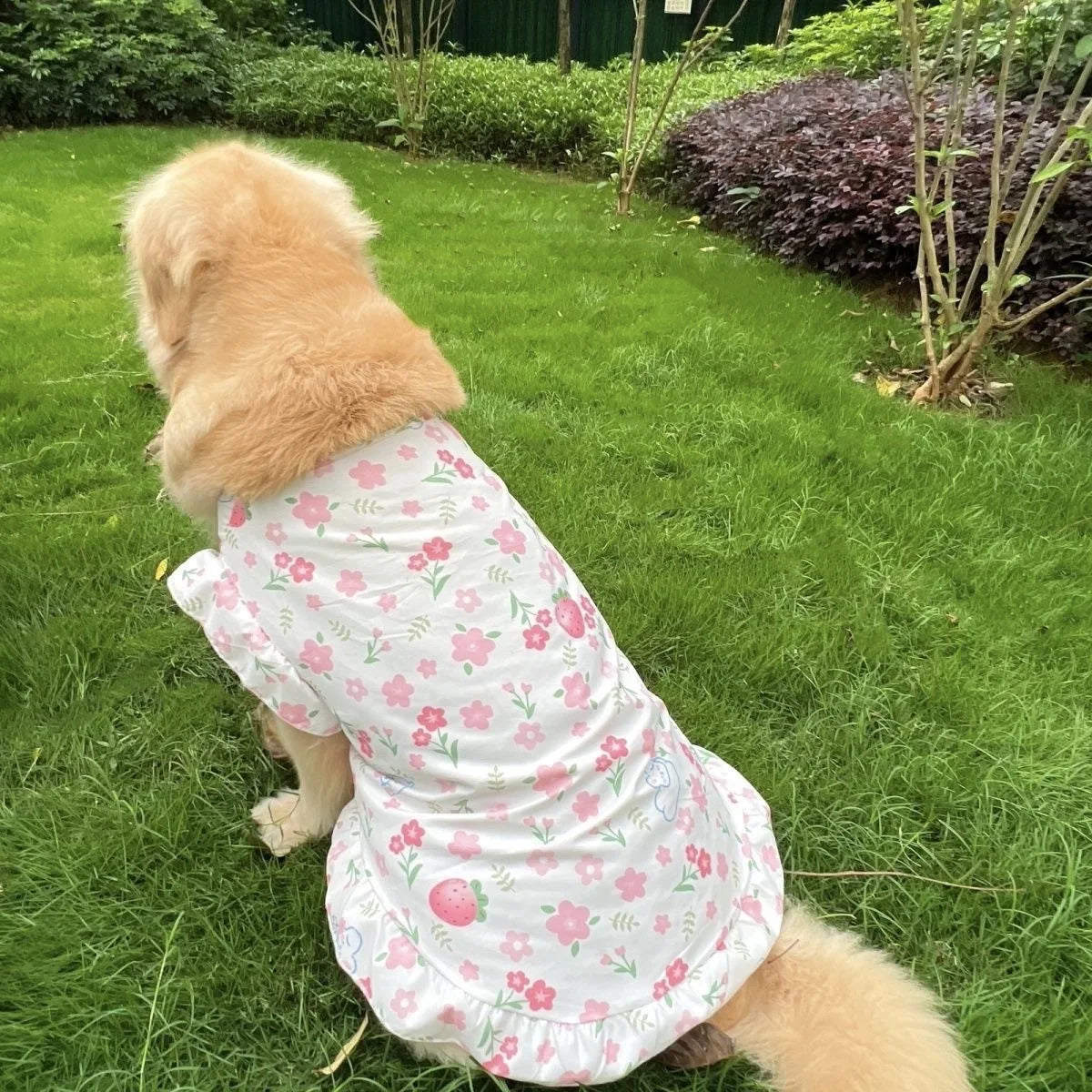 Summer Cooling Dog Dress – Cute Princess Vest Outfit for Medium & Large Dogs, Lightweight Clothing.