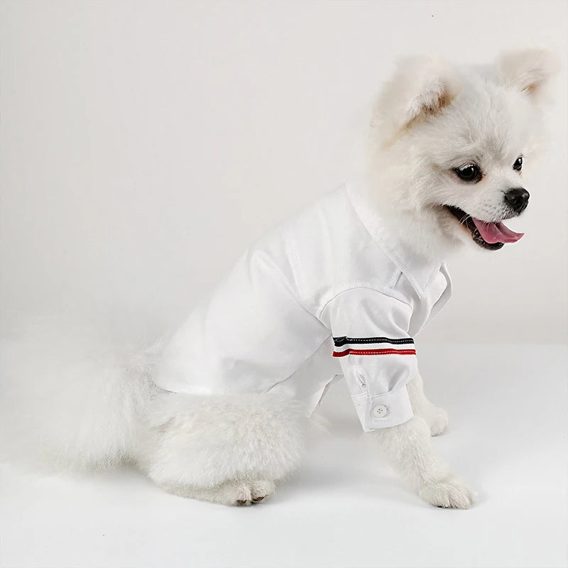Designer Pet Shirt – Japanese, Korean & British Style Casual Outfit for Dogs & Cats, Fashionable Spring & Summer Clothing.