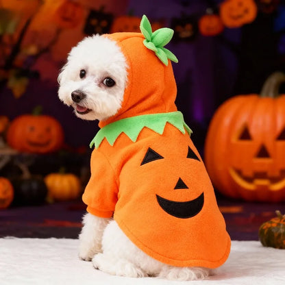 Halloween Pumpkin Dog Costume – Cozy Autumn & Winter Outfit for Dogs.