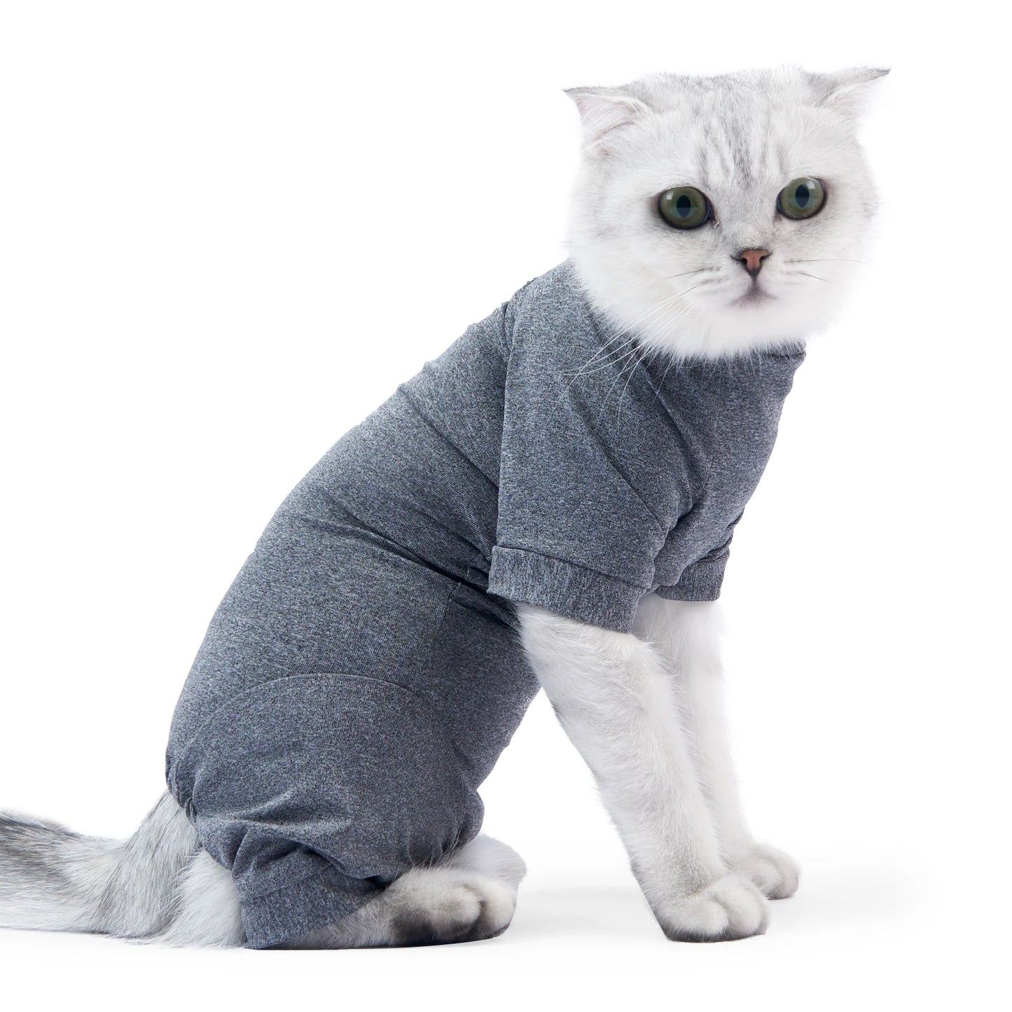 Pet Surgery Recovery Suit – Soft Cotton Postoperative Clothes for Cats, Warm Anti-Licking Recovery Wear for Post-Surgery Care.