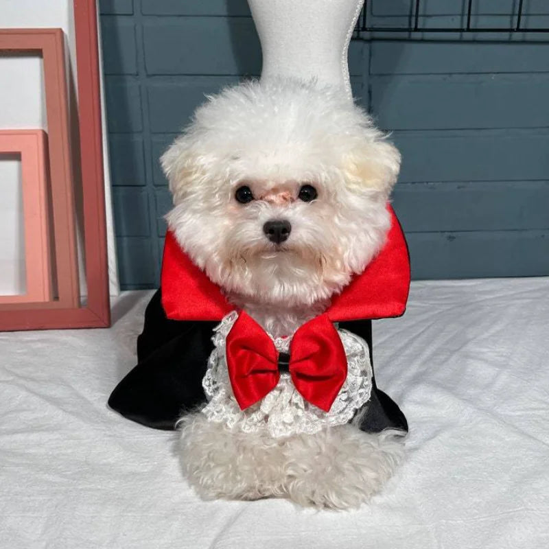 Halloween Vampire Cape Costume – Prince Cosplay Dress-Up Outfit for Small & Medium Dogs.