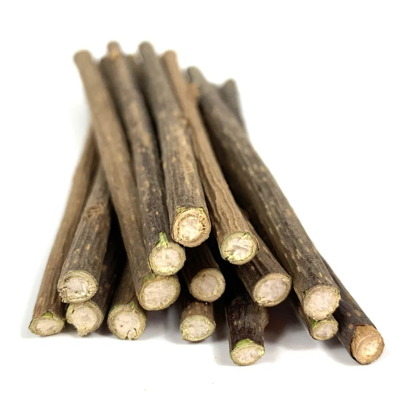 100-Pack Natural Matatabi (Silvervine) Cat Chew Sticks, Catnip Dental Treats for Teeth Cleaning, Healthy Chewing & Interactive Play