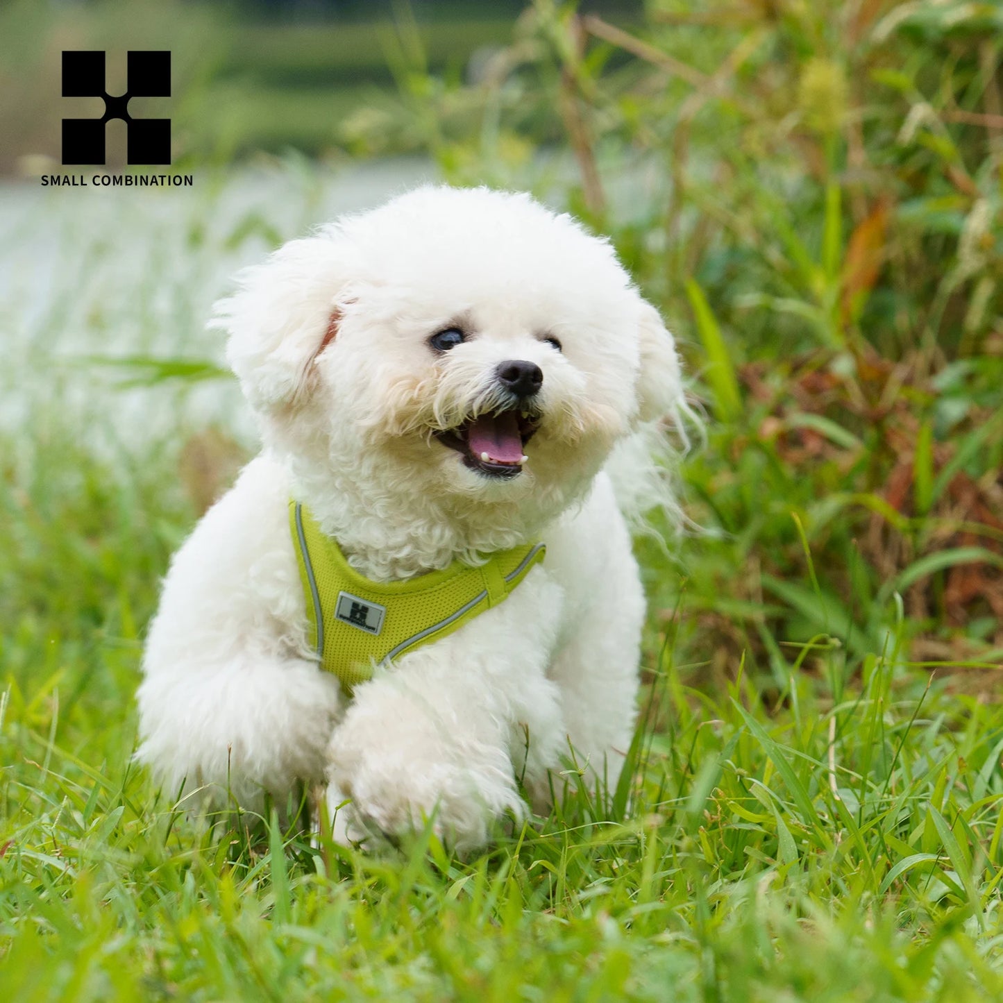 Adjustable Reflective Dog Harness & Leash Set – Comfortable Pet Vest for Small & Medium Dogs & Cats, Ideal for Outdoor Walking.