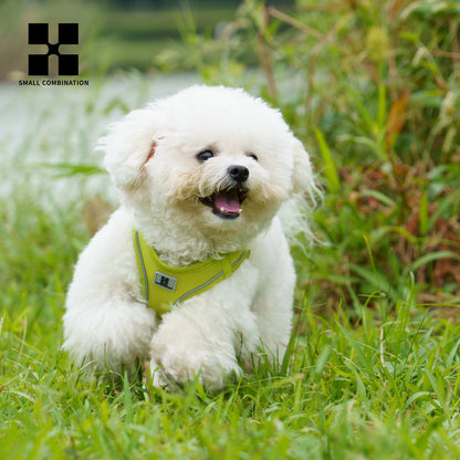Adjustable Reflective Dog Harness & Leash Set – Comfortable Pet Vest for Small & Medium Dogs & Cats, Ideal for Outdoor Walking.
