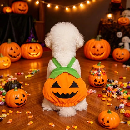Adjustable Halloween Pumpkin Overall Costume – Washable Trick-or-Treat Outfit for Small Dogs & Cats.