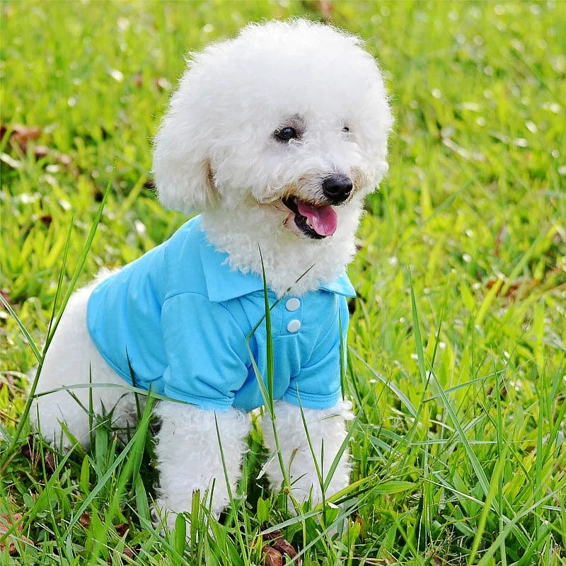 Luxury Pet Polo Shirt – Soft Summer Dog Clothing for Small Dogs, Cute Solid Color Pet Outfit.