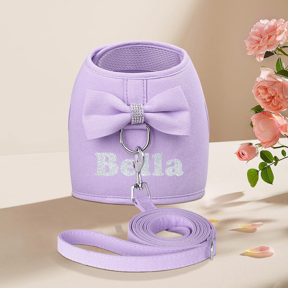 Personalized Dog Harness & Leash Set – Custom Name Pet Vest with Cute Bowtie for Small & Medium Dogs and Cats.