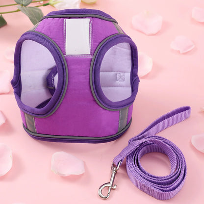 Adjustable Cat Harness & Leash Set – Breathable Comfortable Vest Harness for Cats & Small to Medium Dogs, Cute Walking Accessory.