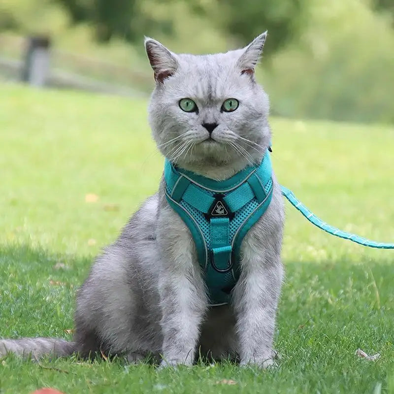 No-Pull Dog Harness & Leash Set – Adjustable Reflective Pet Vest Harness for Small Dogs & Cats, Comfortable Walking Chest Strap Lead.
