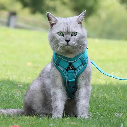 No-Pull Dog Harness & Leash Set – Adjustable Reflective Pet Vest Harness for Small Dogs & Cats, Comfortable Walking Chest Strap Lead.