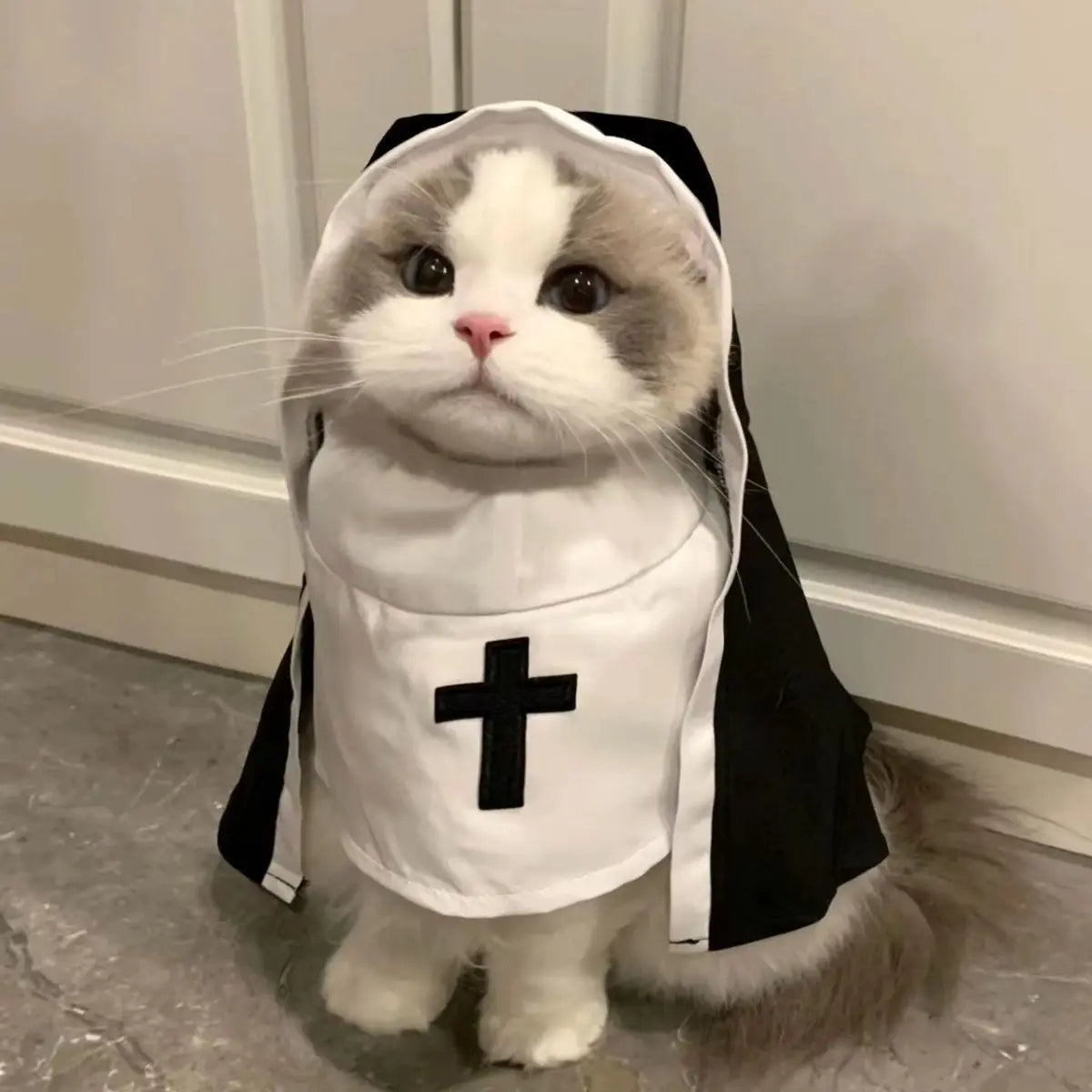 Funny Pet Costume Outfit – Cute Jesus Cosplay Dress-Up Clothes for Cats & Small to Medium Dogs, Perfect for Parties & Pet Photos.