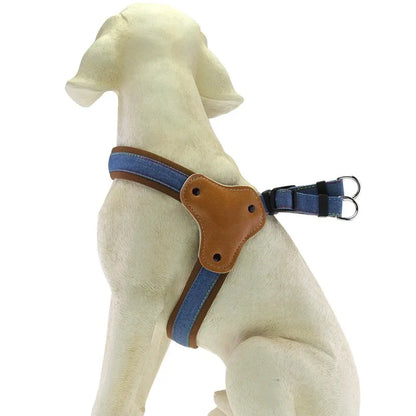 Adjustable Dog Harness & Leash Set – Breathable Heavy-Duty Saddle Harness for Small, Medium & Large Dogs, Secure Walking Rope Design.