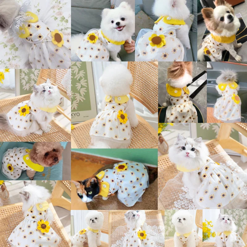 Princess Dog Dress – Cute Mesh Summer Pet Skirt with Bow & Lace for Puppies and Kittens,
