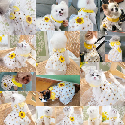 Princess Dog Dress – Cute Mesh Summer Pet Skirt with Bow & Lace for Puppies and Kittens,