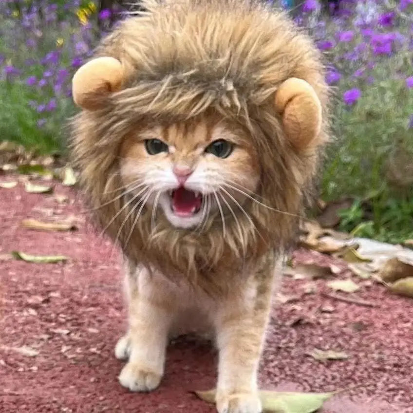 Lion Mane Pet Costume – Cute Cat Wig Hat with Ears, Funny Cosplay Outfit for Pets, Fancy Party Accessory Set.