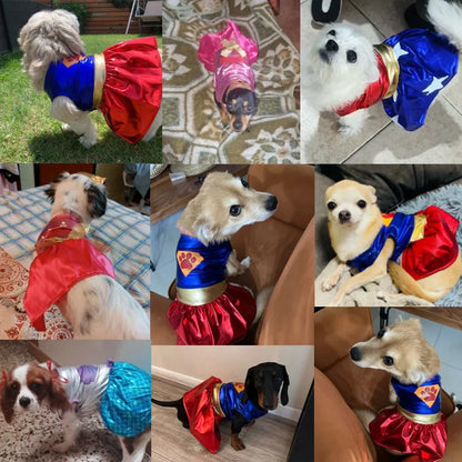 Halloween Pet Costume Dress – Cute Claw Skirt Cosplay Outfit for Dogs, Funny Party & Dress-Up Costume for Pets.