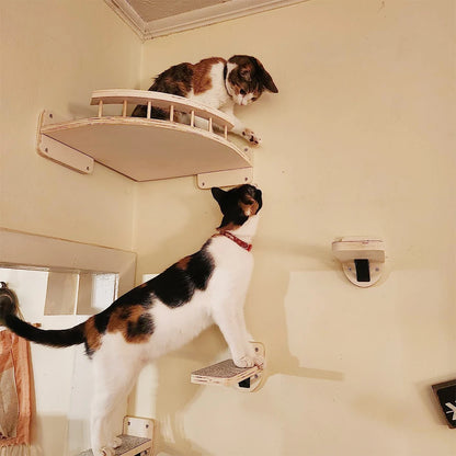Wall-Mounted Cat Climbing Shelf – 4-Step Stairway with Sisal Scratching Post, Jumping Platforms & Cat Tree Furniture for Indoor Cats.