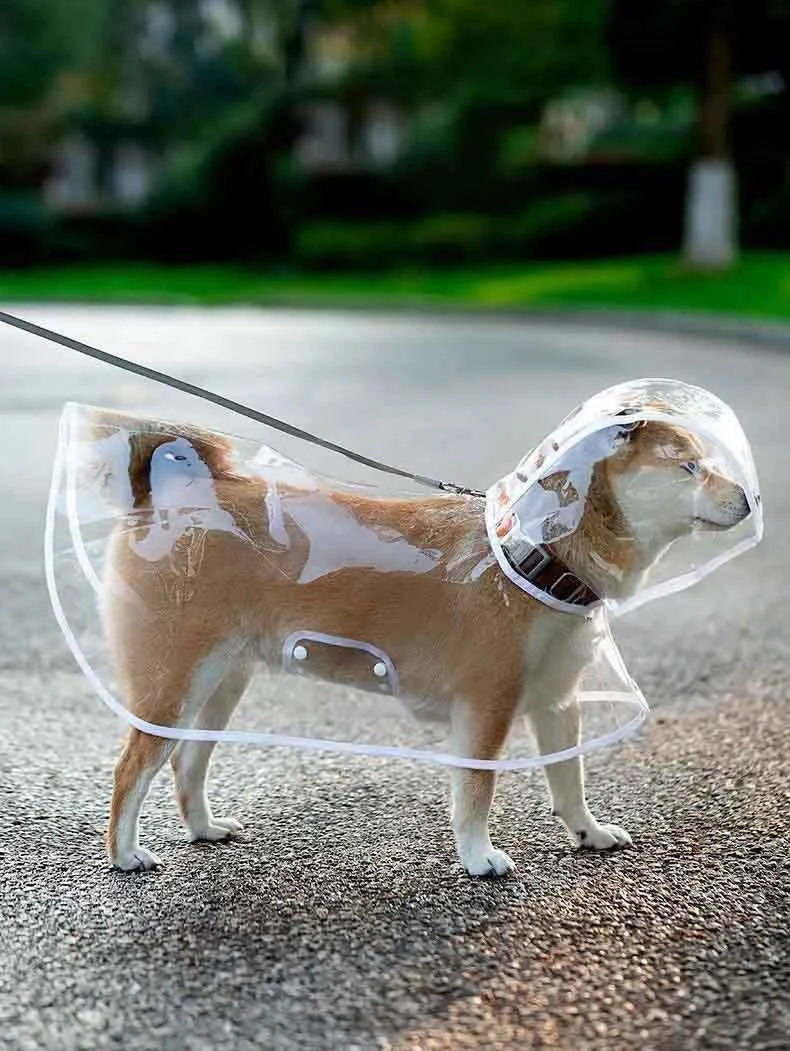 Transparent Waterproof Dog Raincoat – Hooded Pet Jacket for Outdoor Walks, Lightweight Protective Rain Gear for Dogs.