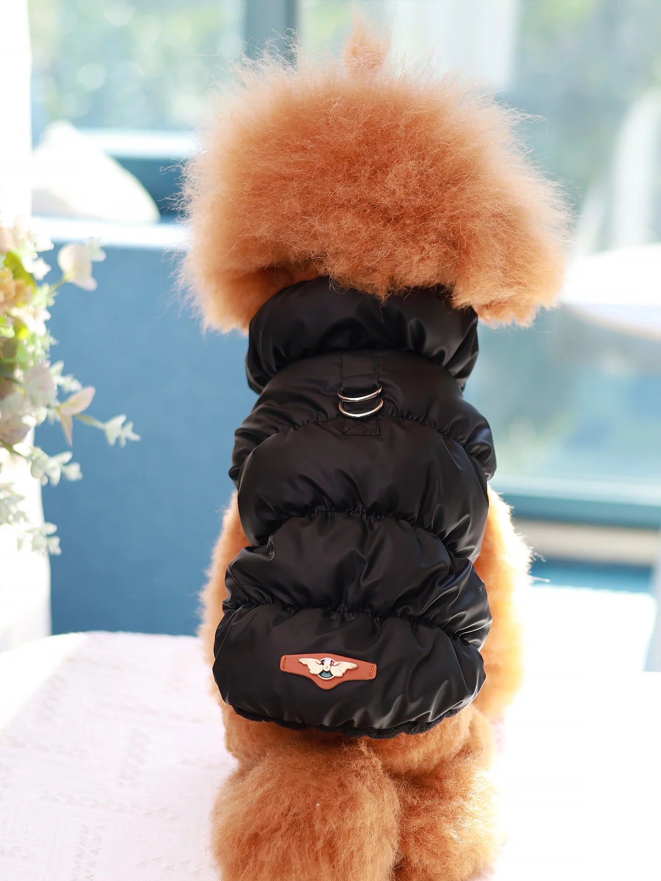 Dog Jacket for Autumn & Winter – 3-Layer Thick Warm Pet Coat for Small & Medium Dogs.