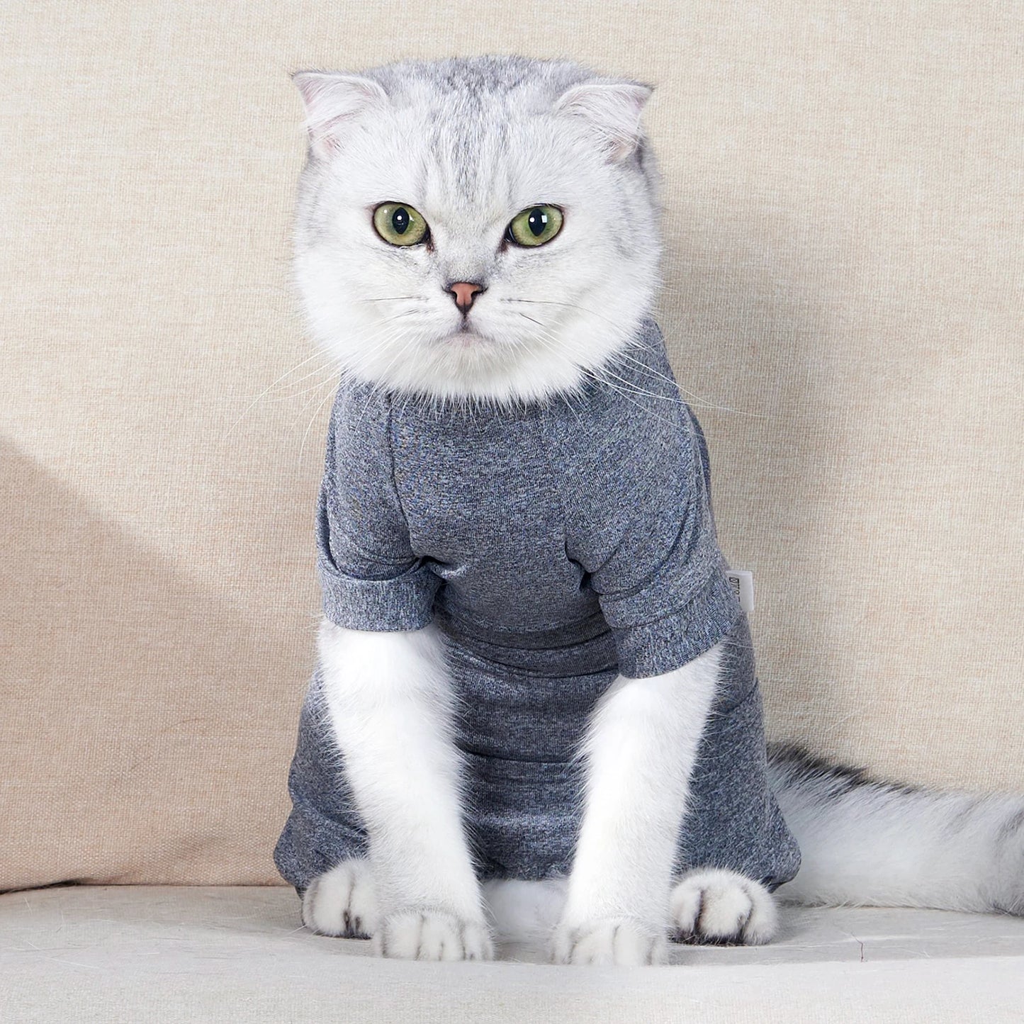 Pet Surgery Recovery Suit – Soft Cotton Postoperative Clothes for Cats, Warm Anti-Licking Recovery Wear for Post-Surgery Care.