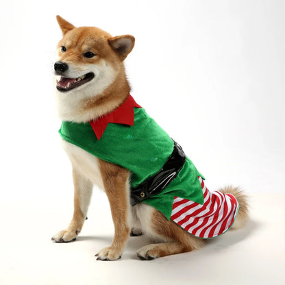 Christmas Elf Costume for Dogs Festive Holiday Party Outfit, Striped Winter Coat for Small and Medium Pets.