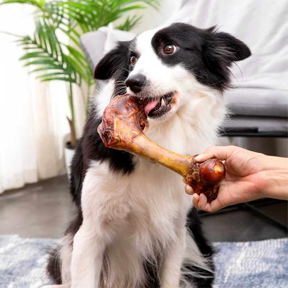 Large Natural Cow Bone Dog Treat, 6.3 in (16 cm), 5.29–6.70 oz (150–190 g), Healthy & Easily Digestible All-Natural Chew.