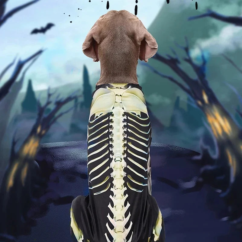 Halloween Skeleton Dog Costume – Comfortable Dress-Up Outfit for Large Breed Dogs.