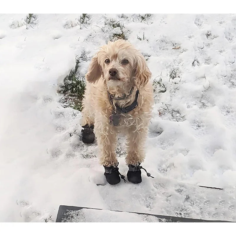 4PCS Waterproof Dog Boots – Non-Slip Sole with Reflective Strips, Adjustable Drawstring & Soft Breathable Lining for Small Dogs.