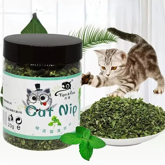 Organic Natural Catnip Toy – 100% High-Quality Mint Cat Grass Interactive Toy for Fun Play & Entertainment for Cats.
