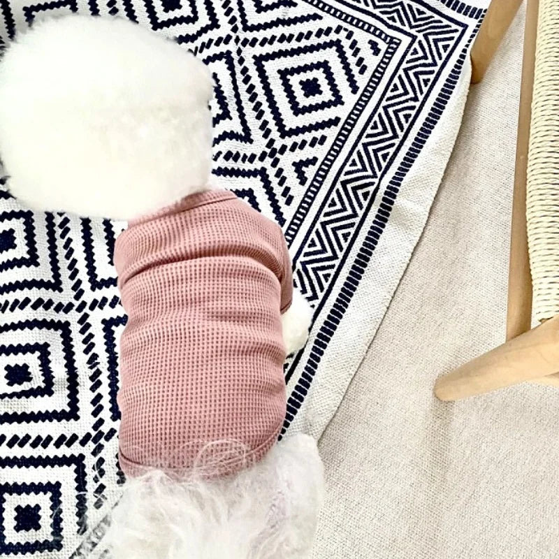 Autumn & Winter Pet Shirt – Soft Solid Cute Bottoming Shirt for Puppies.