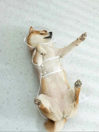 Transparent Waterproof Dog Raincoat – Hooded Pet Jacket for Outdoor Walks, Lightweight Protective Rain Gear for Dogs.