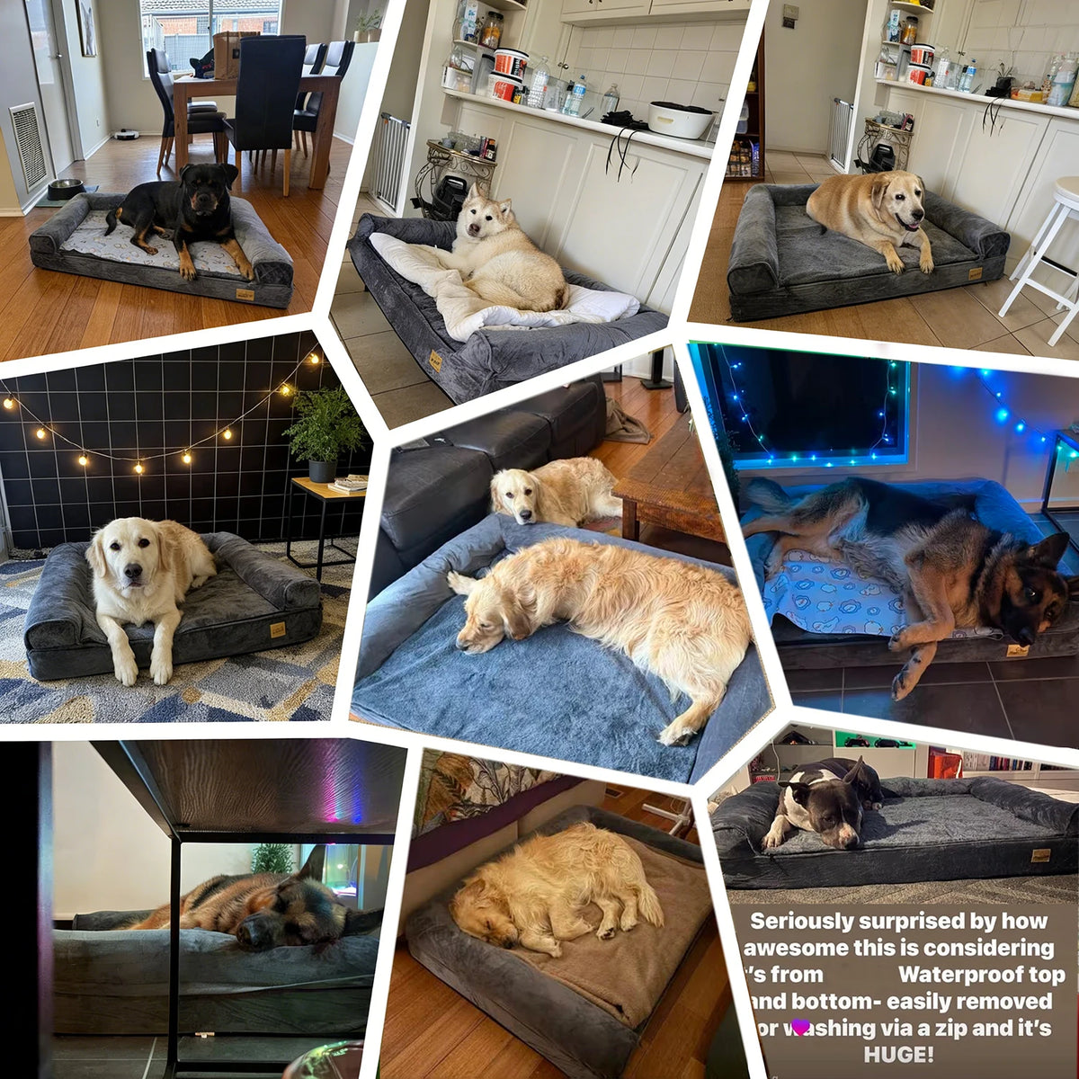 XL–XXL Orthopedic Memory Foam Dog Bed – Calming Plush Sofa with Waterproof Removable Cover for Small, Medium & Large Dogs.