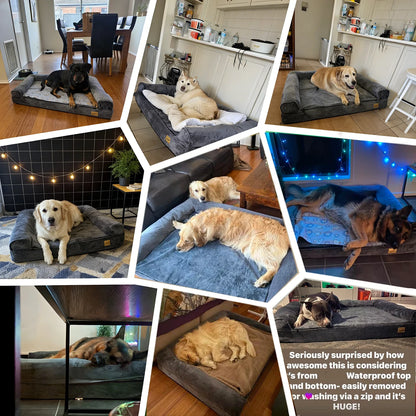 XL–XXL Orthopedic Memory Foam Dog Bed – Calming Plush Sofa with Waterproof Removable Cover for Small, Medium & Large Dogs.