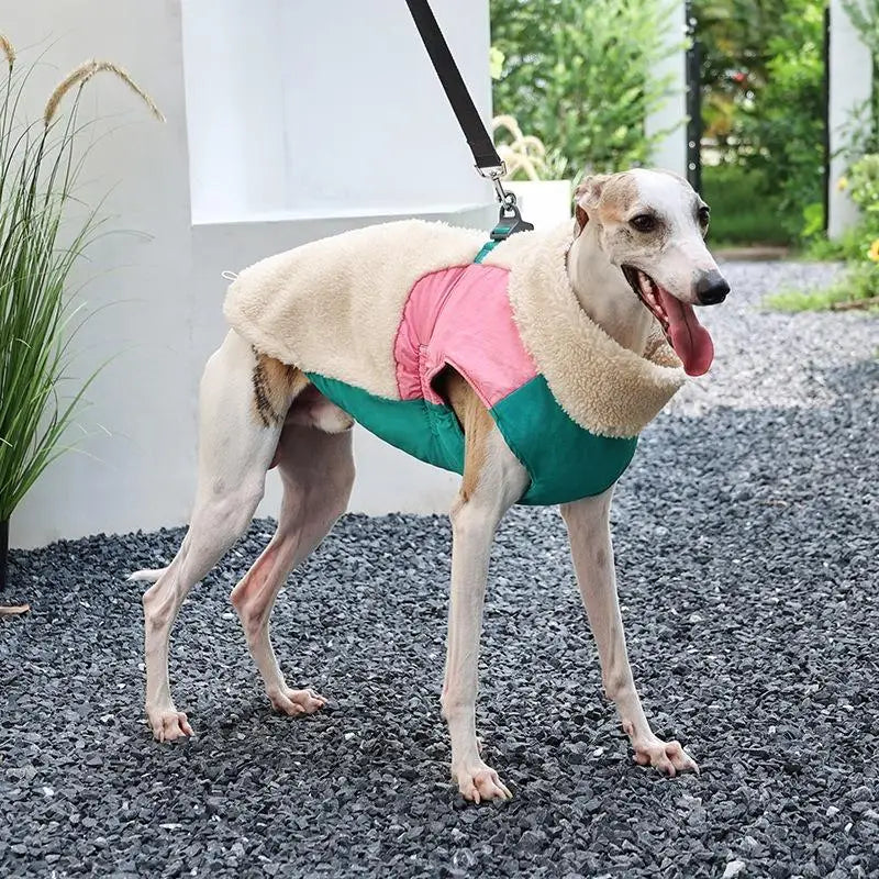 Winter Dog Coat – Warm Windproof Lamb Fleece Vest with Leash Clip, Soft Pet Jacket for Small, Medium & Large Dogs (S–2XL).