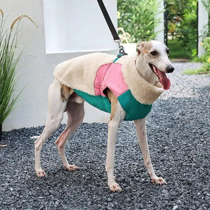Winter Dog Coat – Warm Windproof Lamb Fleece Vest with Leash Clip, Soft Pet Jacket for Small, Medium & Large Dogs (S–2XL).