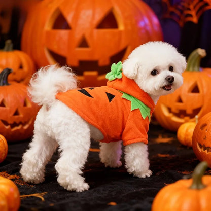 Halloween Pumpkin Dog Costume – Cozy Autumn & Winter Outfit for Dogs.