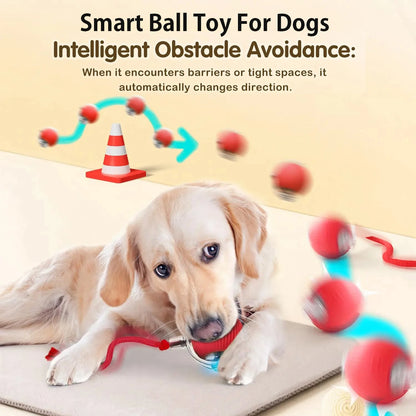 Automatic Rolling Dog Ball – Rechargeable Interactive Smart Toy for Dogs, Intelligent Motion Puppy Play Ball.