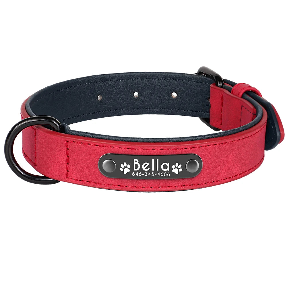 Personalized Leather Dog Collar – Custom Name ID Collar for Small, Medium & Large Dogs, Durable Collar for Pitbulls, Bulldogs & Beagles.