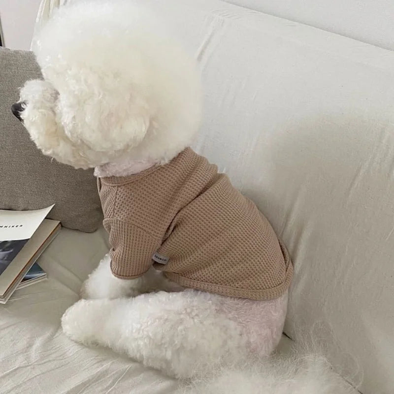 Autumn & Winter Pet Shirt – Soft Solid Cute Bottoming Shirt for Puppies.