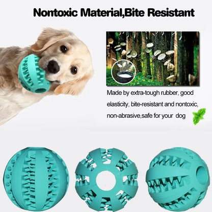 Interactive Dog Chew Toy – Soft Elastic Ball for Dogs, Durable Rubber Ball for Teeth Cleaning and Fun Play