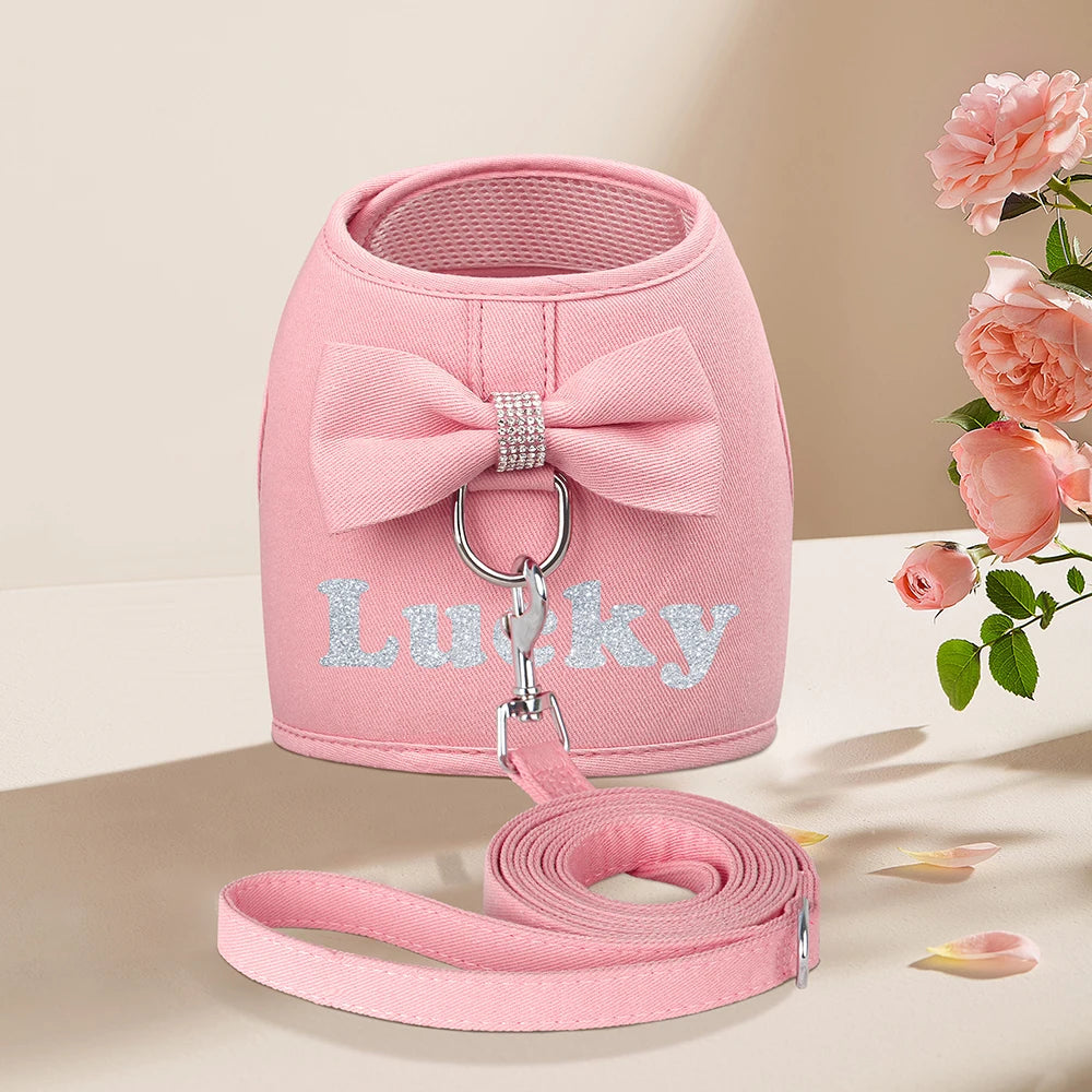 Personalized Dog Harness & Leash Set – Custom Name Pet Vest with Cute Bowtie for Small & Medium Dogs and Cats.