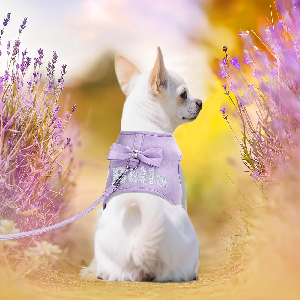 Personalized Dog Harness & Leash Set – Custom Name Pet Vest with Cute Bowtie for Small & Medium Dogs and Cats.