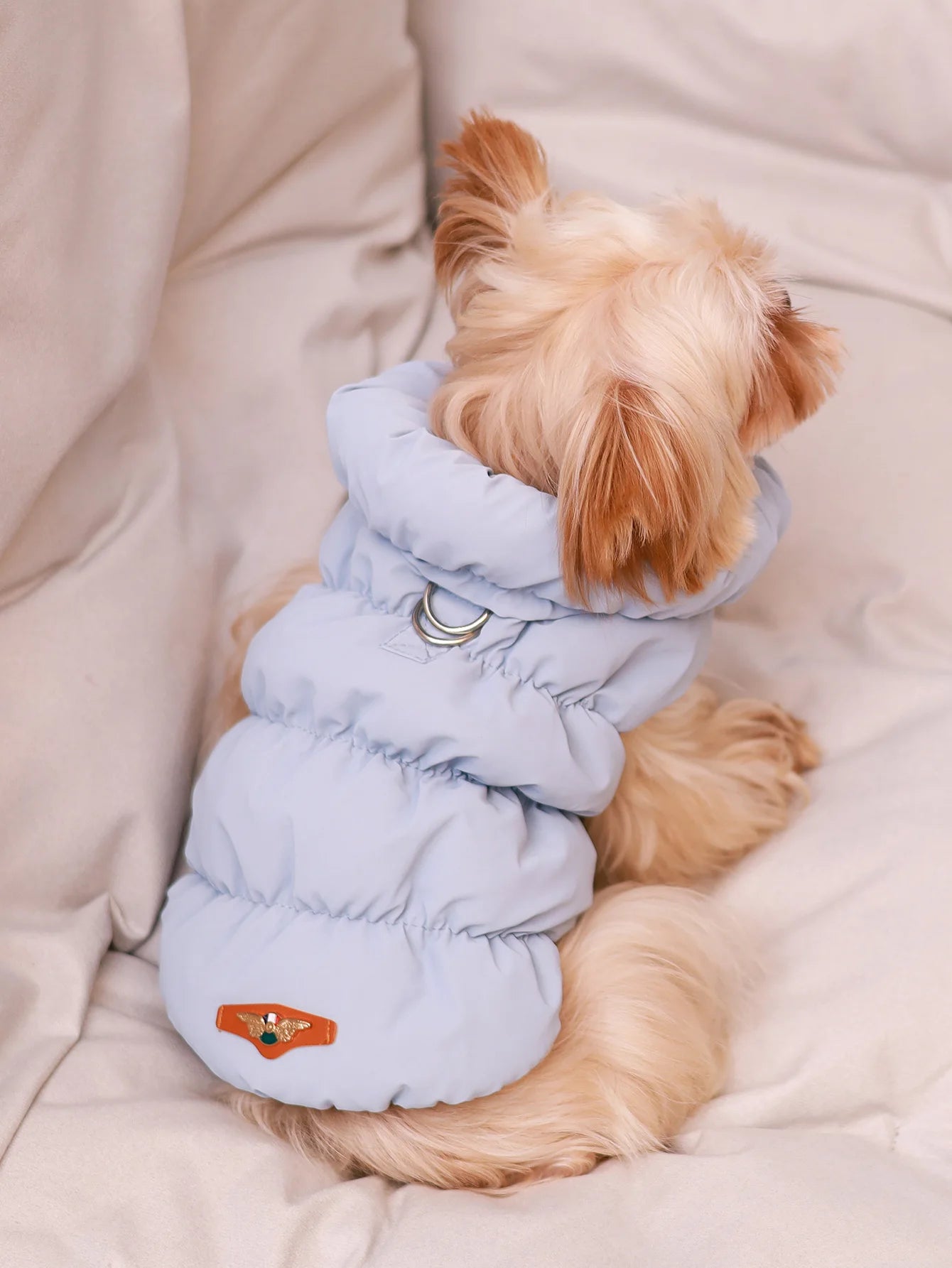 Dog Jacket for Autumn & Winter – 3-Layer Thick Warm Pet Coat for Small & Medium Dogs.