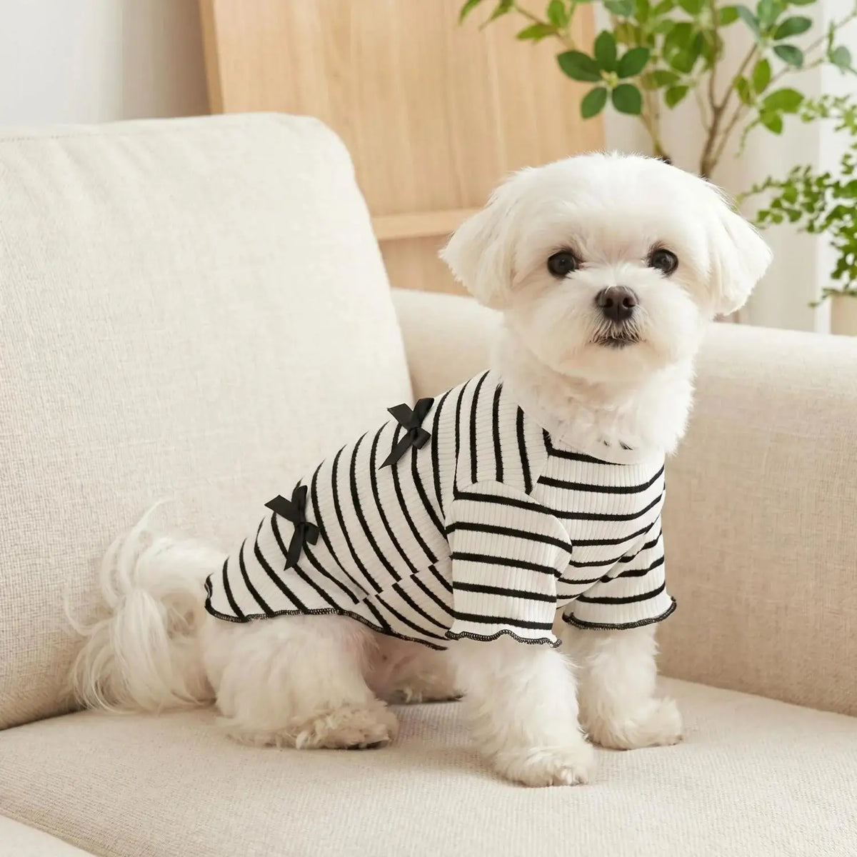 Striped Bow Tie Pet T-Shirt – Soft Ice Silk Breathable Spring & Summer Shirt for Small Dogs & Cats.