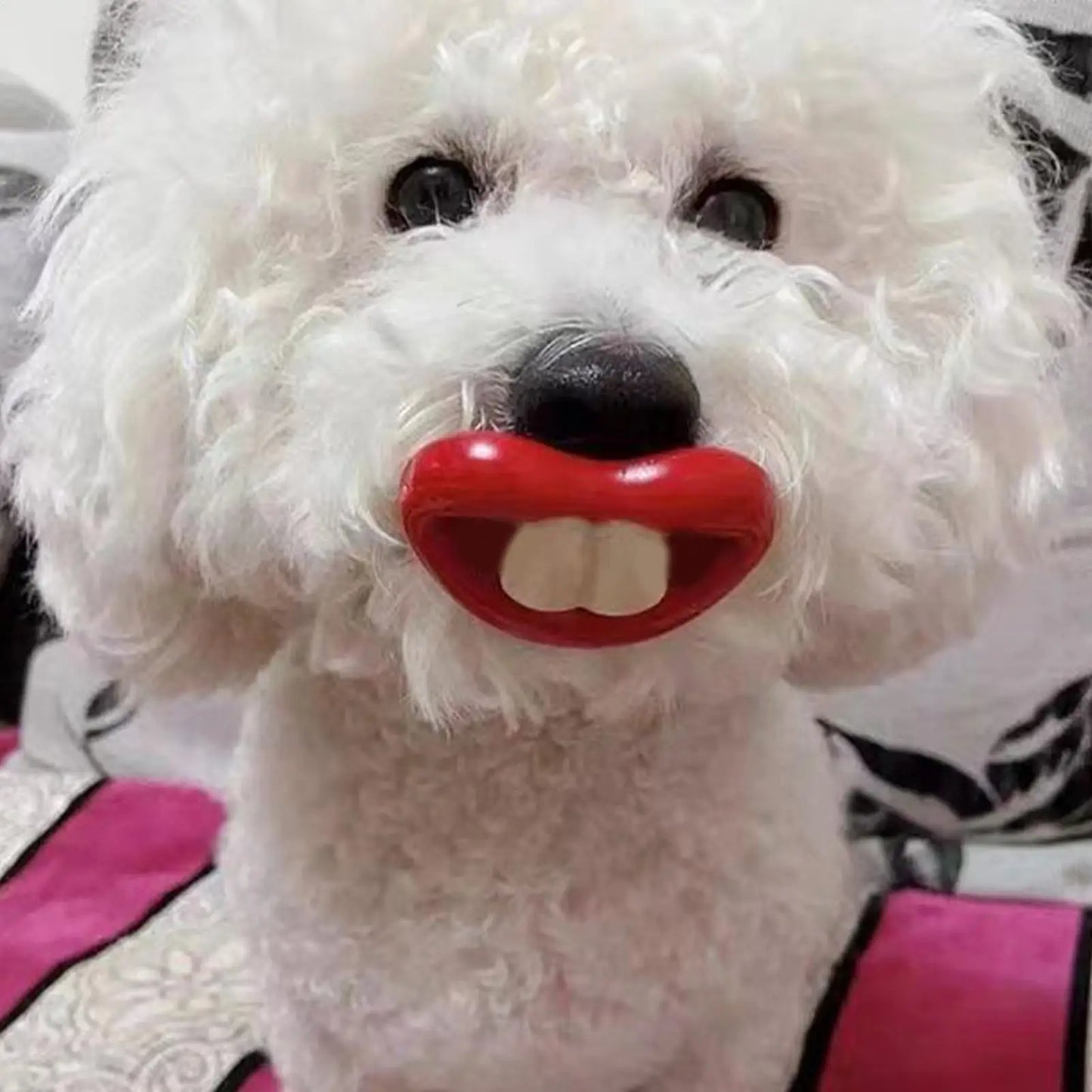 Funny Dog Pacifier Toy – Soft Silicone Red Lips Chew & Teething Toy for Small Dogs and Pets, Safe Dental Care Accessory.