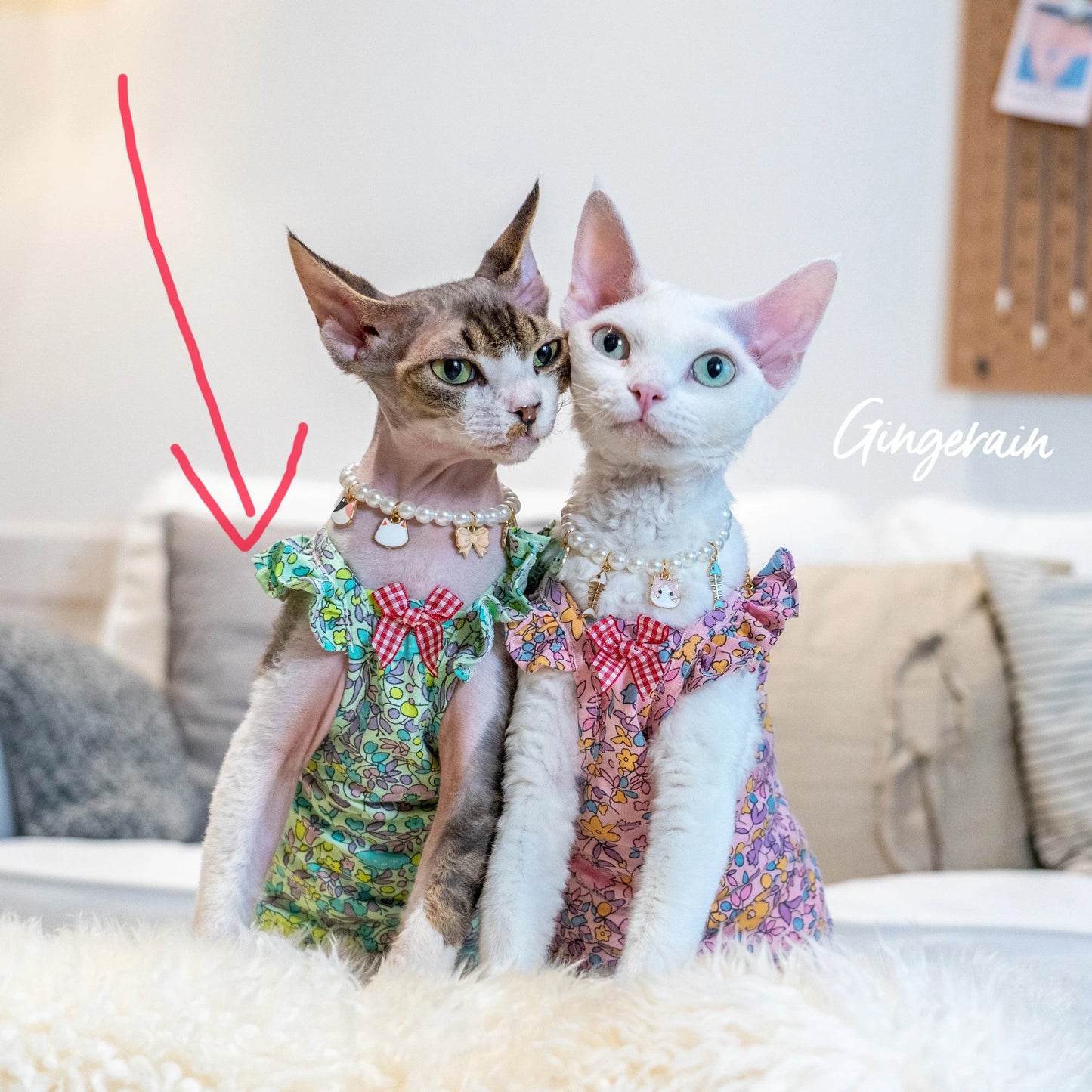 Luxury Sphynx Cat Dress – Sleeveless Cotton Princess Skirt for Devon Rex & Sphynx Cats, Sweet Spring & Summer Pet Outfit.