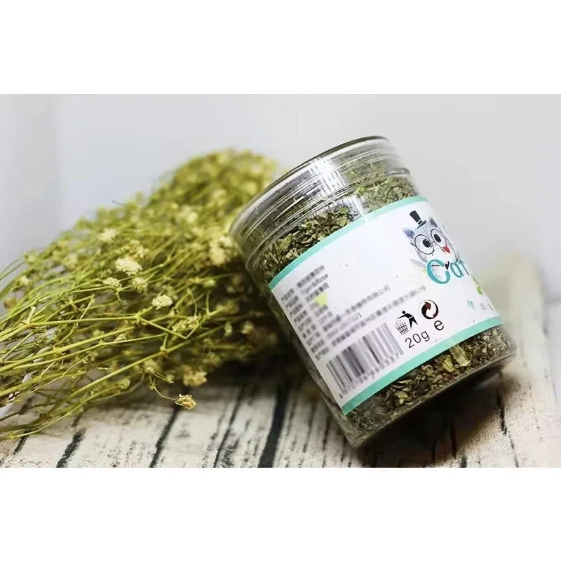 Organic Natural Catnip Toy – 100% High-Quality Mint Cat Grass Interactive Toy for Fun Play & Entertainment for Cats.